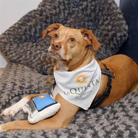 La Quinta by Wyndham Pet Policy .